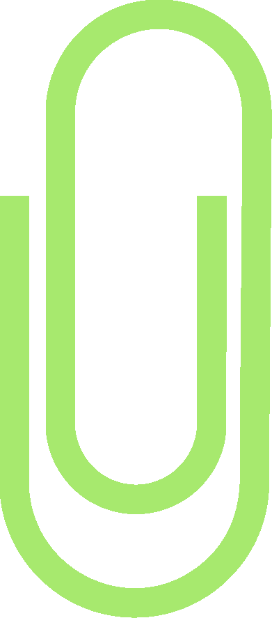 其本赛季, 闪电体育