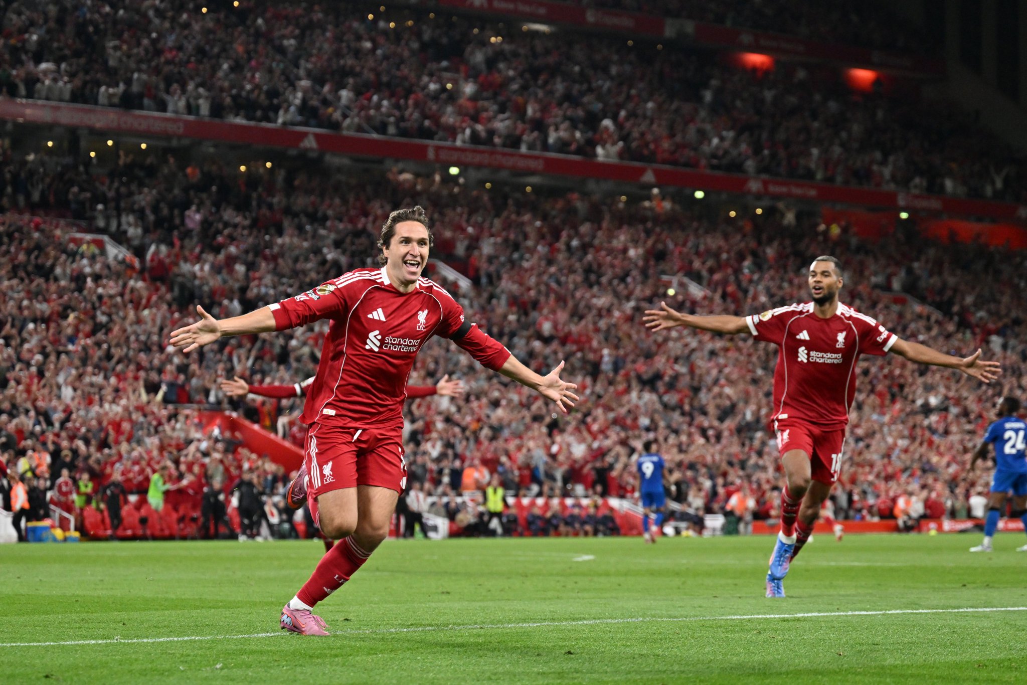 联赛和国内, div