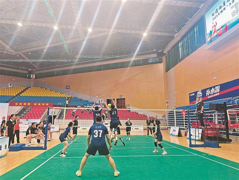 气排球精英, 支队伍 气排球精英, 支队伍